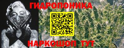 мяу мяу мука Волжск